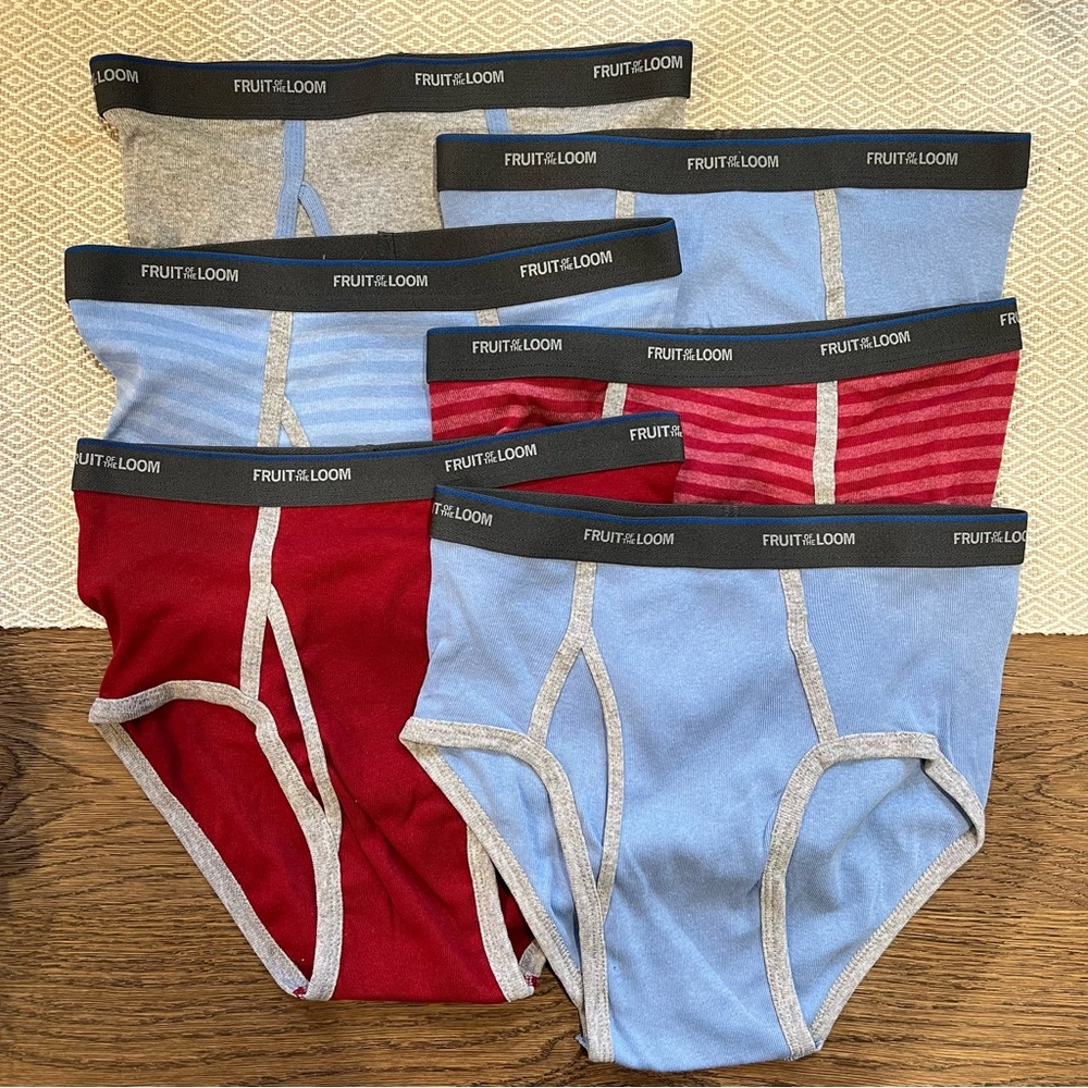 Fruit of the Loom Briefs